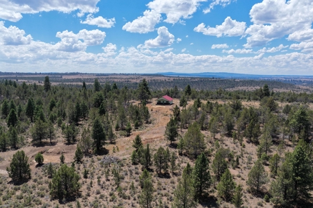 Eastern Oregon Lone Pine Cabin - image 27
