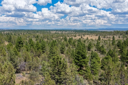 Eastern Oregon Lone Pine Cabin - image 25