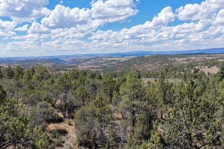 Eastern Oregon Lone Pine Cabin - image 32