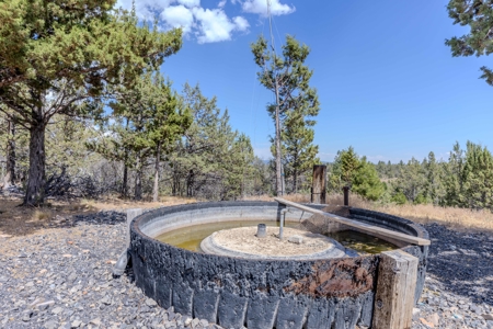 Eastern Oregon Lone Pine Cabin - image 17