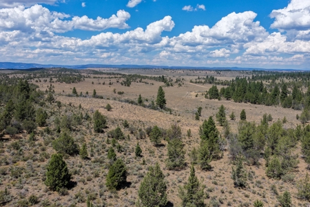 Eastern Oregon Lone Pine Cabin - image 31
