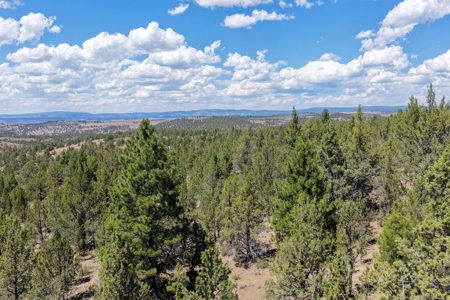 Eastern Oregon Lone Pine Cabin - image 20