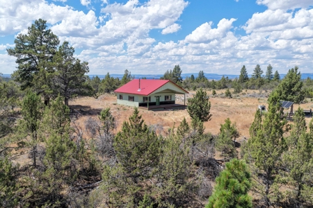Eastern Oregon Lone Pine Cabin - image 1