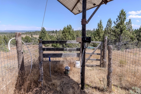Eastern Oregon Lone Pine Cabin - image 18