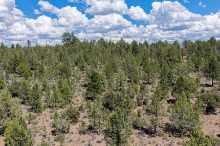 Eastern Oregon Lone Pine Cabin - image 19