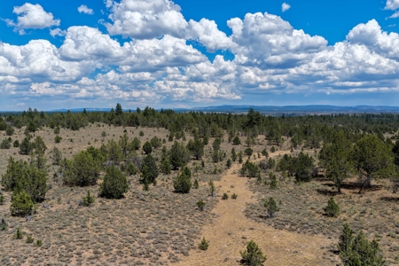 Eastern Oregon Lone Pine Cabin - image 23
