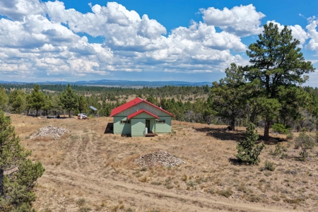 Eastern Oregon Lone Pine Cabin - image 26