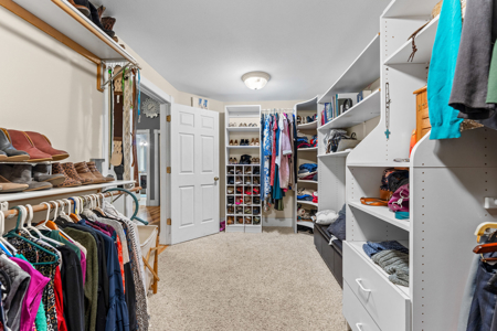4 Bedrooms | 3 Bathrooms beautifully maintained ranch - image 50