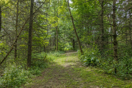 36 +/- Acres of Peaceful Living in Portage WI - image 30