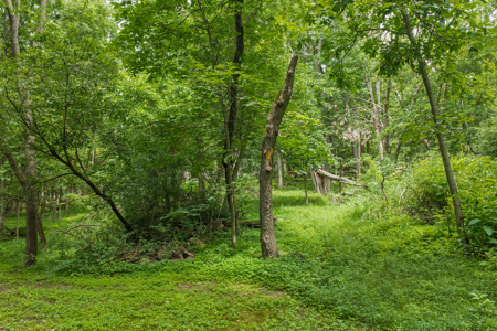 36 +/- Acres of Peaceful Living in Portage WI - image 32