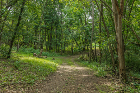 36 +/- Acres of Peaceful Living in Portage WI - image 18