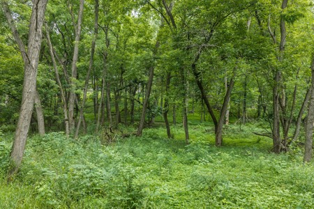 36 +/- Acres of Peaceful Living in Portage WI - image 23