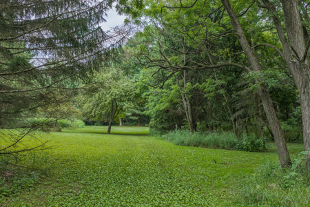 36 +/- Acres of Peaceful Living in Portage WI - image 24