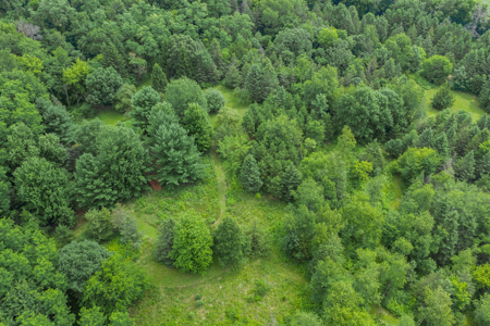 36 +/- Acres of Peaceful Living in Portage WI - image 12