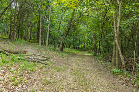 36 +/- Acres of Peaceful Living in Portage WI - image 17