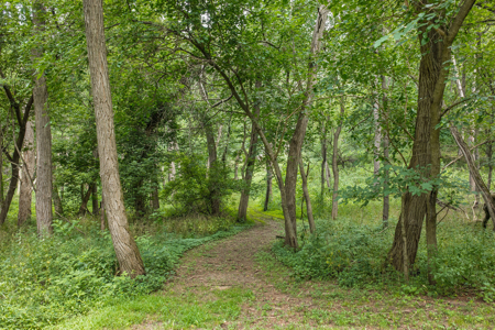 36 +/- Acres of Peaceful Living in Portage WI - image 31