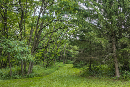 36 +/- Acres of Peaceful Living in Portage WI - image 22