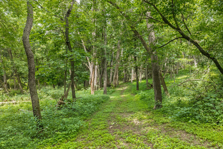 36 +/- Acres of Peaceful Living in Portage WI - image 33