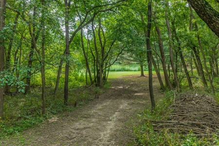 36 +/- Acres of Peaceful Living in Portage WI - image 19