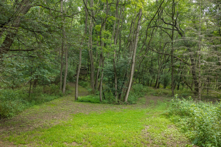 36 +/- Acres of Peaceful Living in Portage WI - image 27