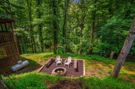 Investment & Income located in Ellijay, Georgia for Sale - image 2