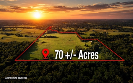 70 ± Acres Winnsboro Franklin County East, Texas - Creek, Hunting - image 1