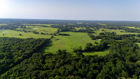 70 ± Acres Winnsboro Franklin County East, Texas - Creek, Hunting - image 13