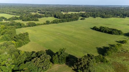 70 ± Acres Winnsboro Franklin County East, Texas - Creek, Hunting - image 6