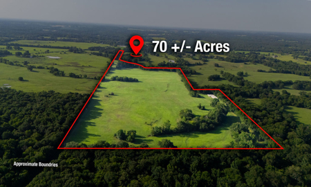 70 ± Acres Winnsboro Franklin County East, Texas - Creek, Hunting - image 11