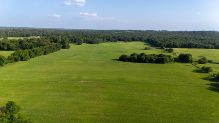 70 ± Acres Winnsboro Franklin County East, Texas - Creek, Hunting - image 8