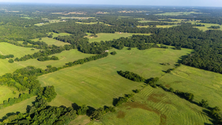 70 ± Acres Winnsboro Franklin County East, Texas - Creek, Hunting - image 4