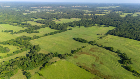 70 ± Acres Winnsboro Franklin County East, Texas - Creek, Hunting - image 5