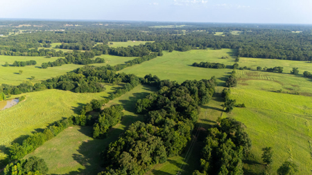 70 ± Acres Winnsboro Franklin County East, Texas - Creek, Hunting - image 17