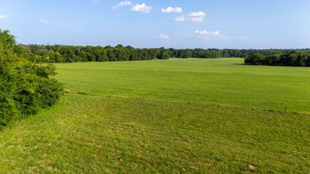 70 ± Acres Winnsboro Franklin County East, Texas - Creek, Hunting - image 9