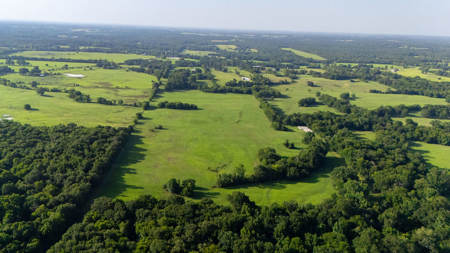 70 ± Acres Winnsboro Franklin County East, Texas - Creek, Hunting - image 12