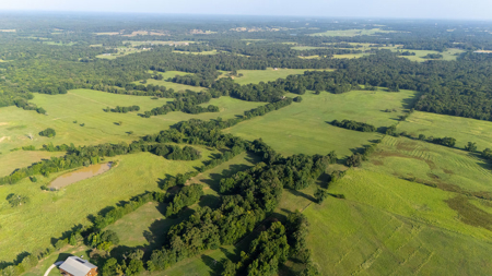 70 ± Acres Winnsboro Franklin County East, Texas - Creek, Hunting - image 16