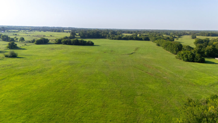 70 ± Acres Winnsboro Franklin County East, Texas - Creek, Hunting - image 15