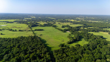 70 ± Acres Winnsboro Franklin County East, Texas - Creek, Hunting - image 10