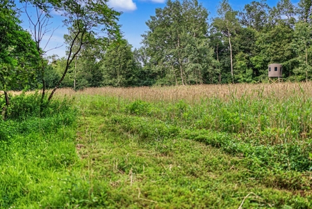 47± Acre Hunting Property with Cabin | Vernon County, Wisconsin - image 43