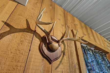 47± Acre Hunting Property with Cabin | Vernon County, Wisconsin - image 13