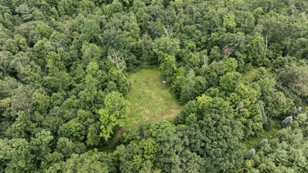 47± Acre Hunting Property with Cabin | Vernon County, Wisconsin - image 41
