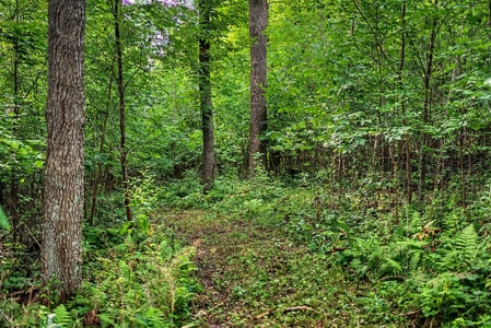 47± Acre Hunting Property with Cabin | Vernon County, Wisconsin - image 45