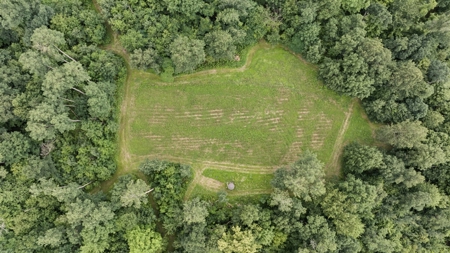 47± Acre Hunting Property with Cabin | Vernon County, Wisconsin - image 36