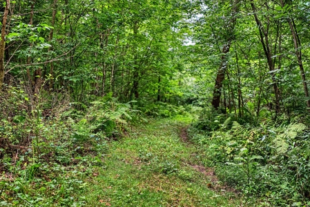 47± Acre Hunting Property with Cabin | Vernon County, Wisconsin - image 29