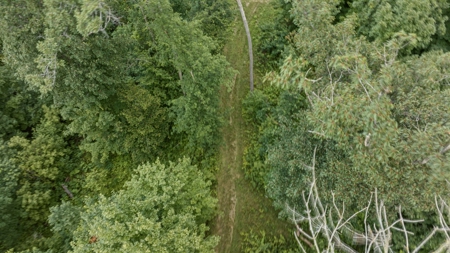 47± Acre Hunting Property with Cabin | Vernon County, Wisconsin - image 33