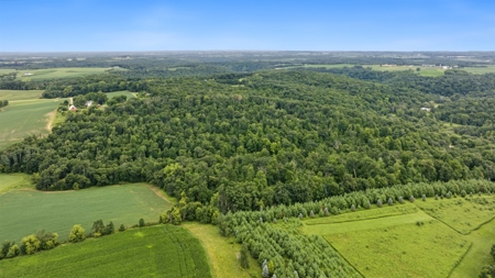 47± Acre Hunting Property with Cabin | Vernon County, Wisconsin - image 1