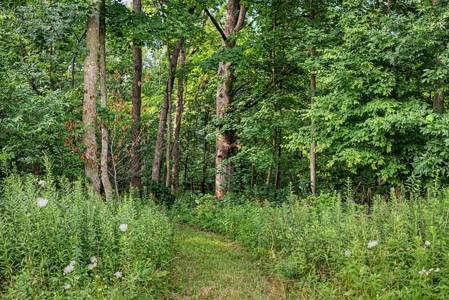 47± Acre Hunting Property with Cabin | Vernon County, Wisconsin - image 48