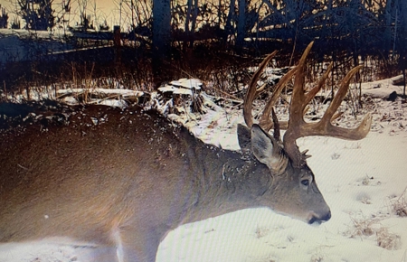 47± Acre Hunting Property with Cabin | Vernon County, Wisconsin - image 8