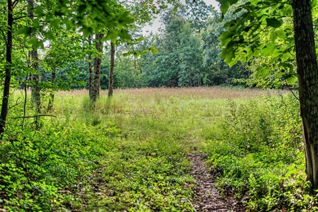 47± Acre Hunting Property with Cabin | Vernon County, Wisconsin - image 38