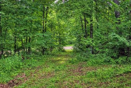 47± Acre Hunting Property with Cabin | Vernon County, Wisconsin - image 44